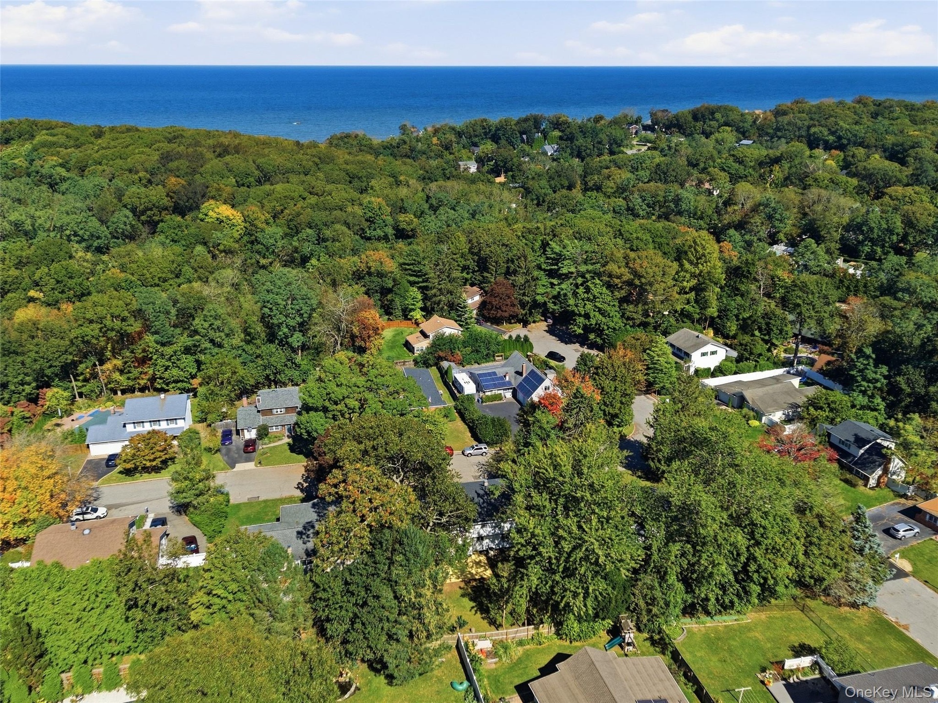 Expansive wooded landscape with residential properties and a visible body of water