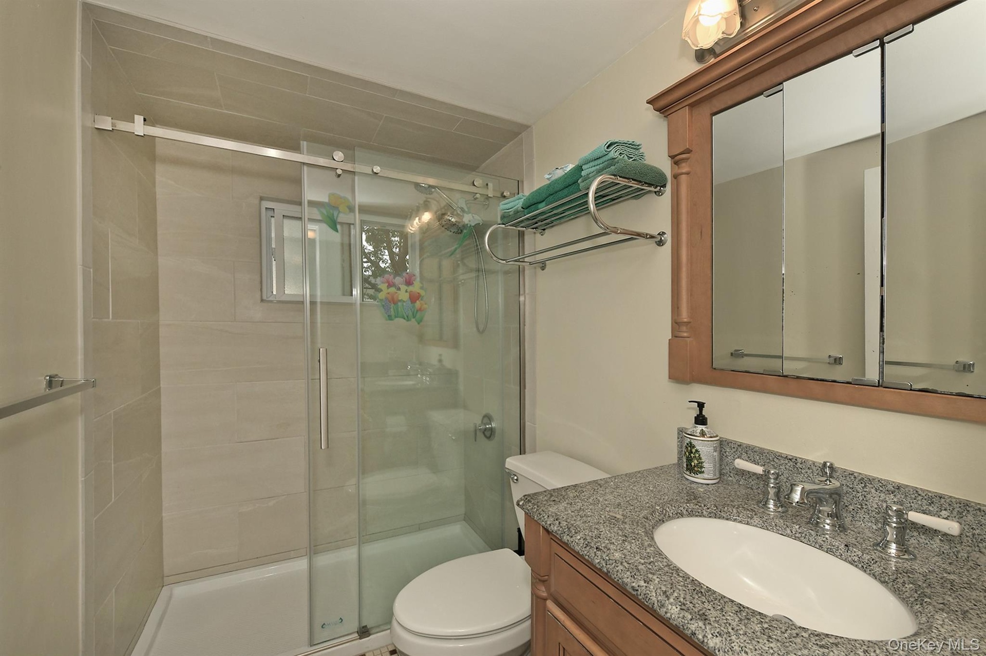 Lower Level New Bath Room (1yr) with walk in Shower+ Sliding Glass Door