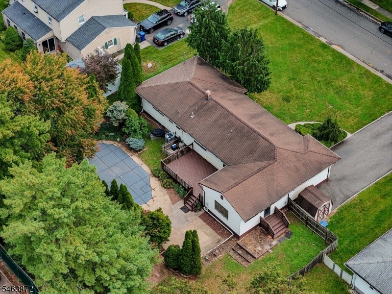 Drone View