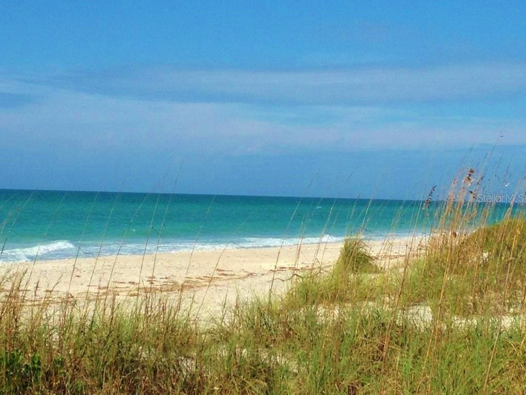 Beach.