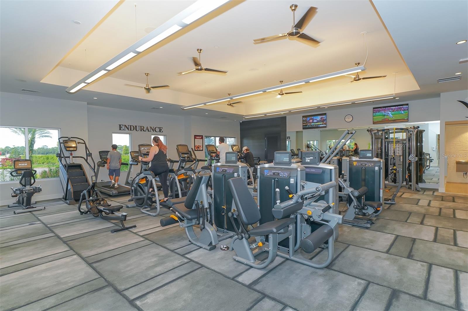 Cardio and Exercise Equipment