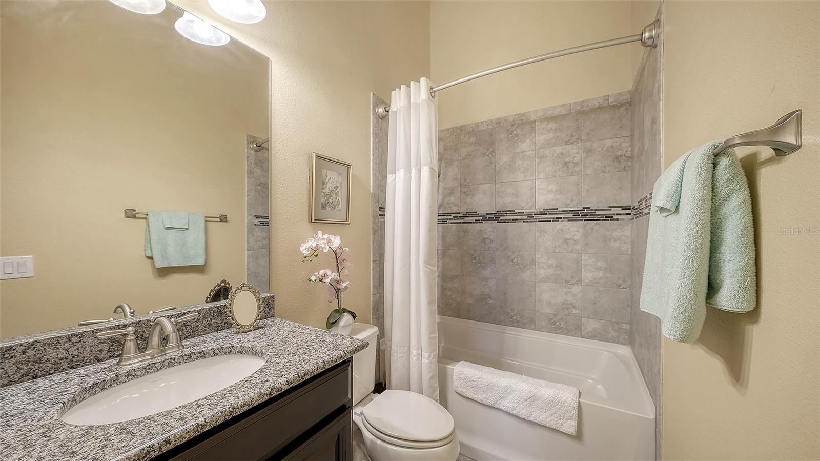 Guest Bath 2
