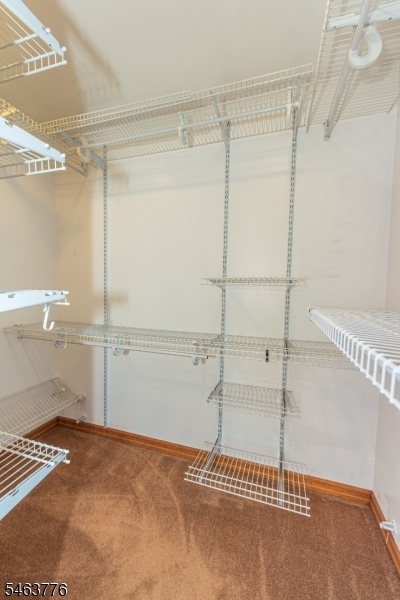 Primary Walk-in-Closet