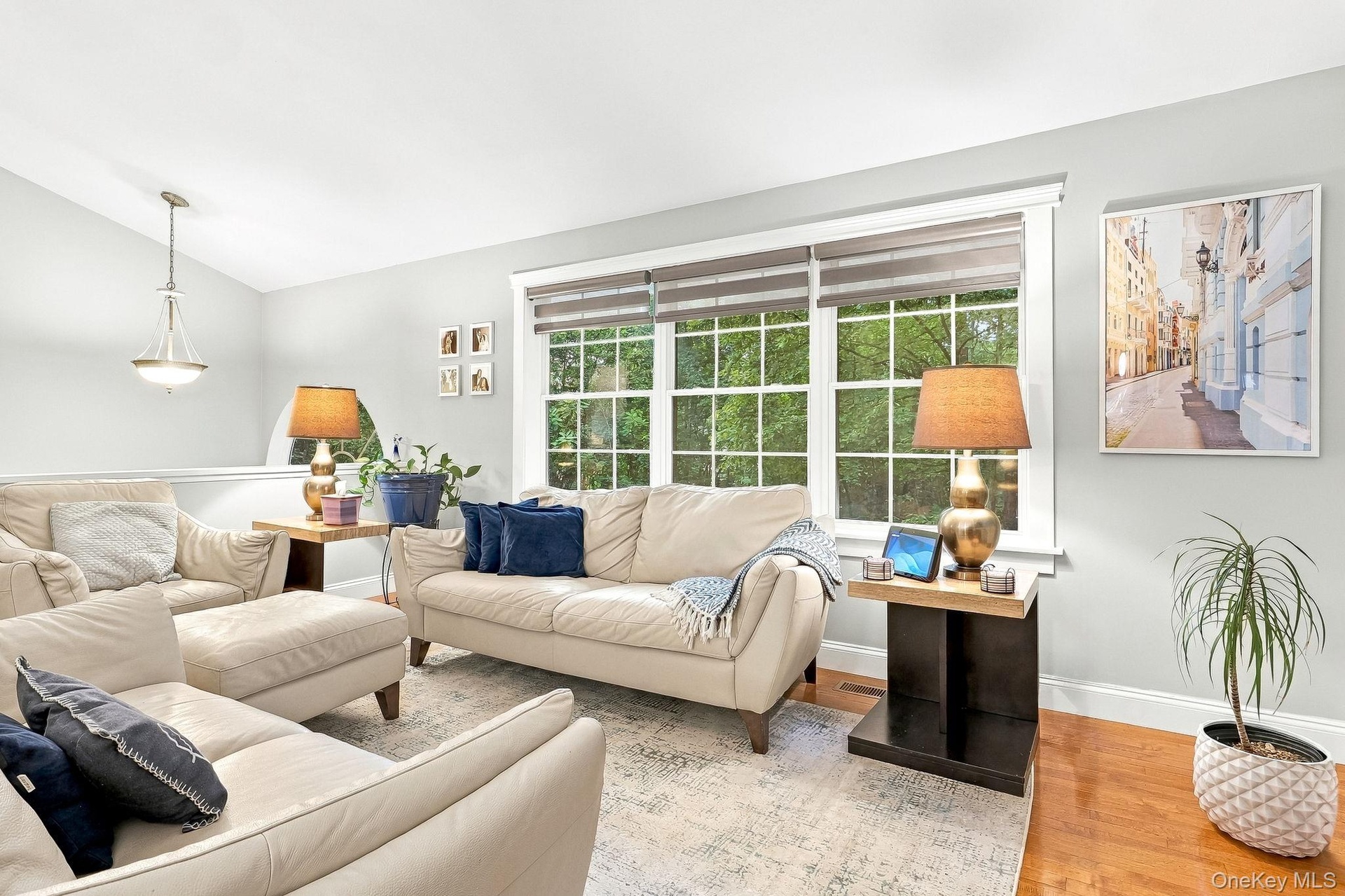Spacious living area featuring large windows, wood flooring, and a decorative pendant light fixture in foyer area.