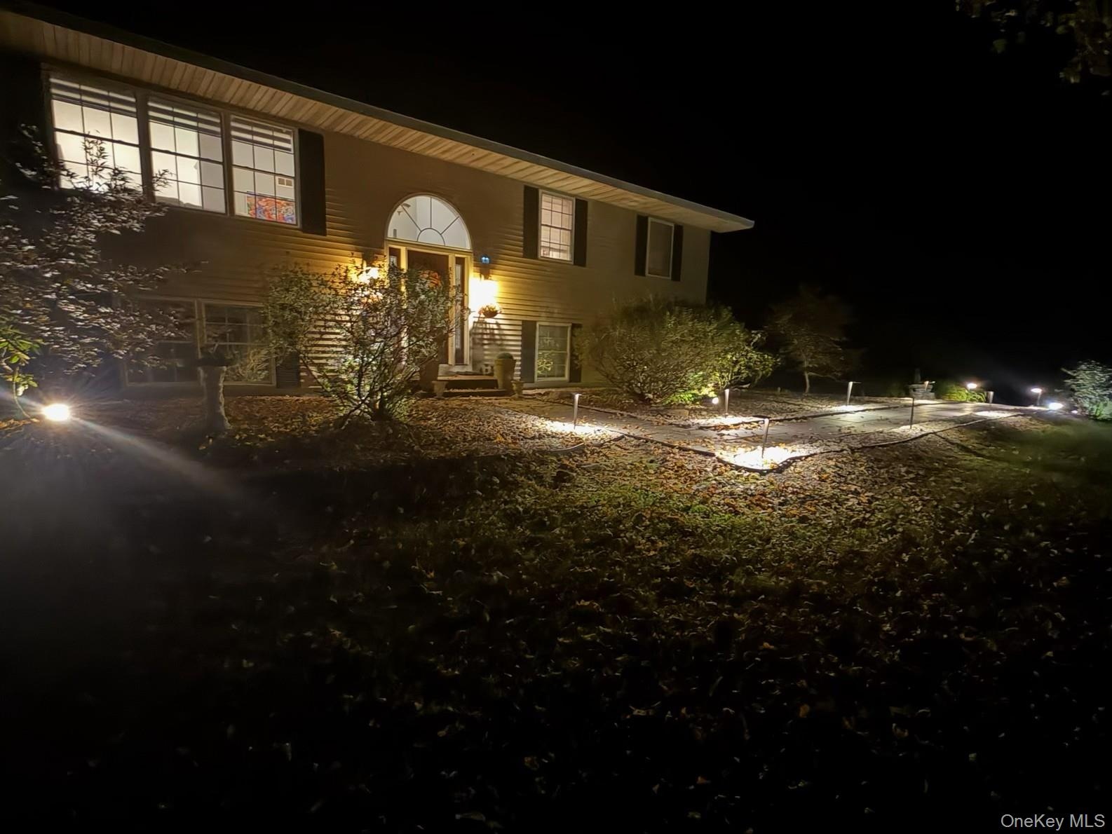 Night View