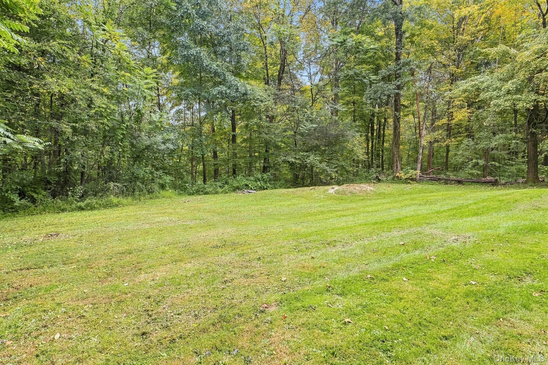 Expansive lawn area bordered by mature trees