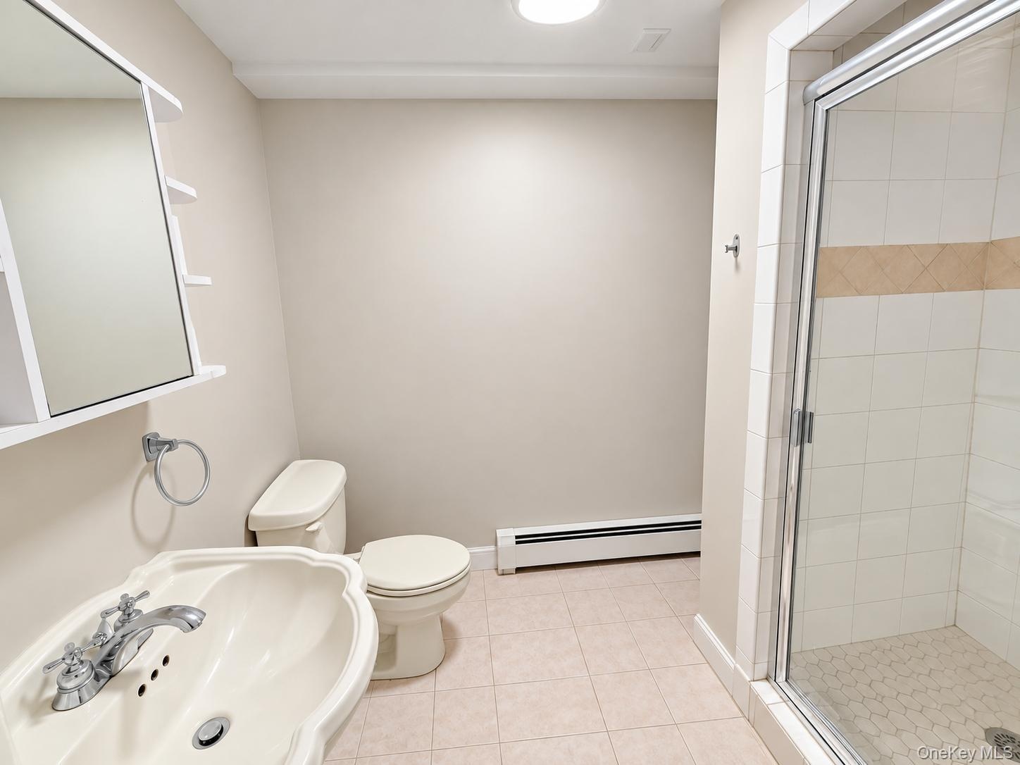 Lower level full bathroom