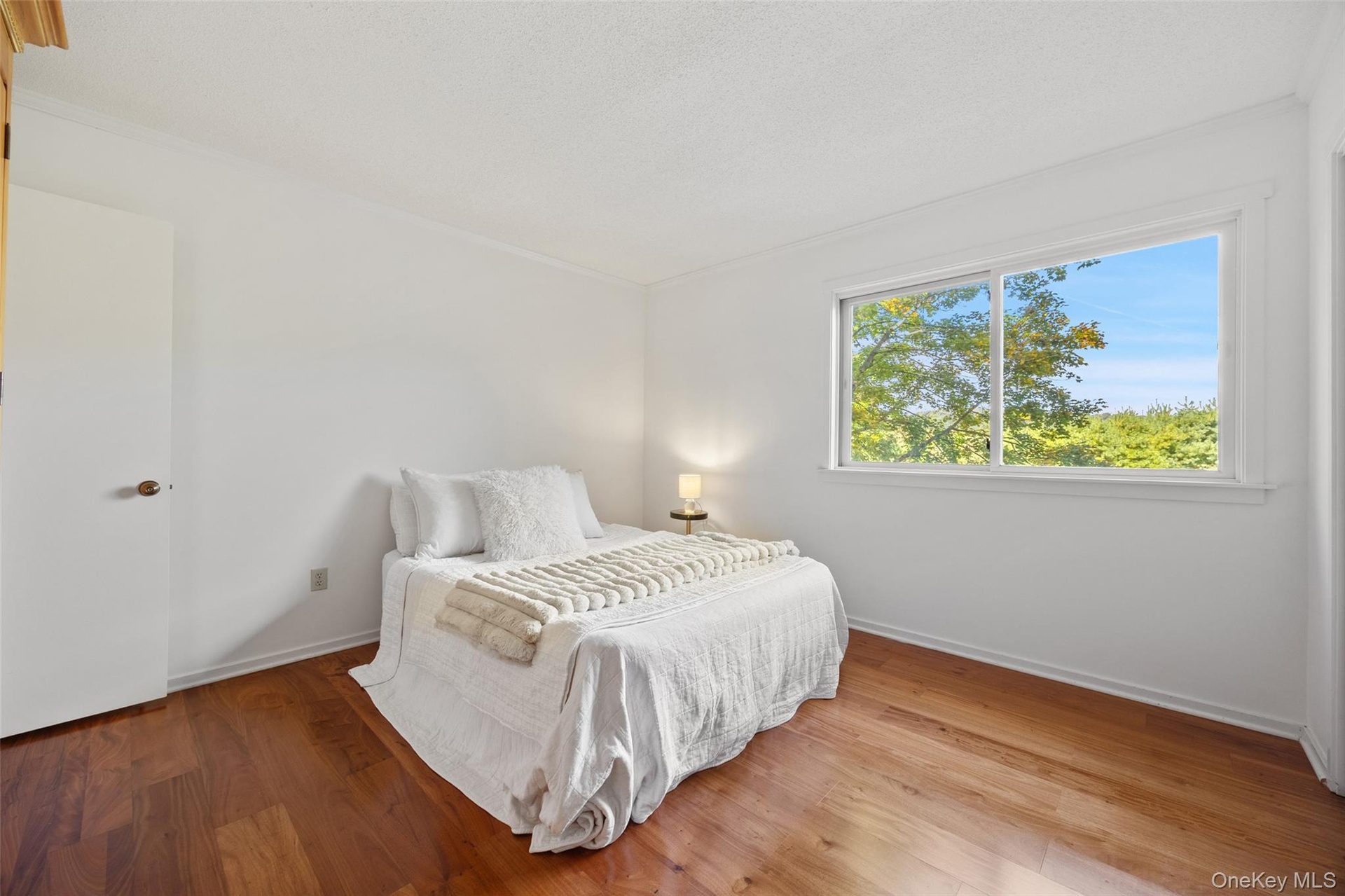 King sized 2nd bedroom with 2 double closets.