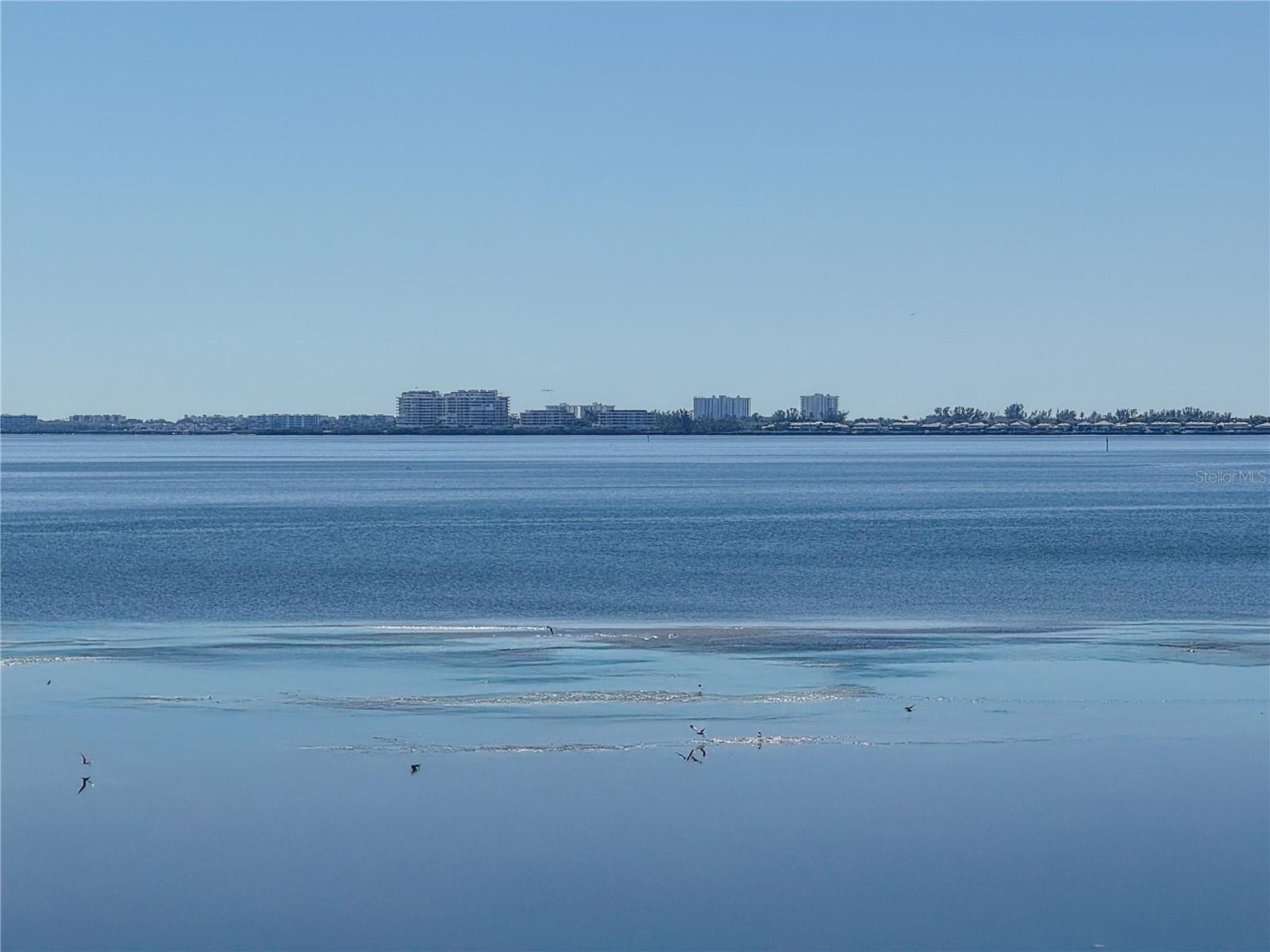 Tranquil water views
