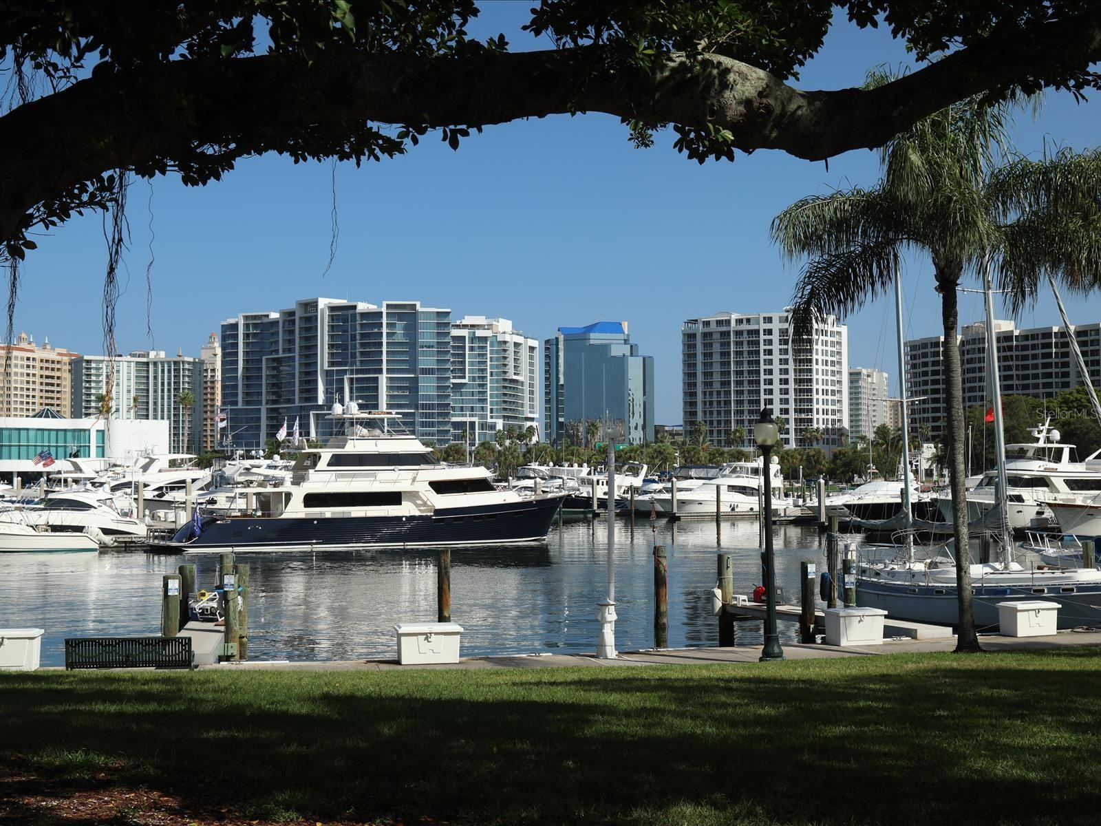 Marina