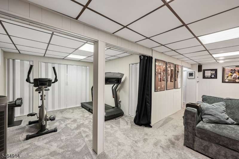Basement/Rec-Room