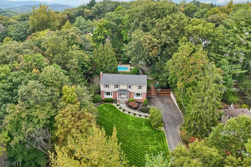 Aerial Shot