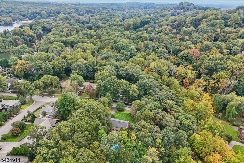 Aerial Shot