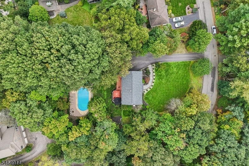 Aerial Shot