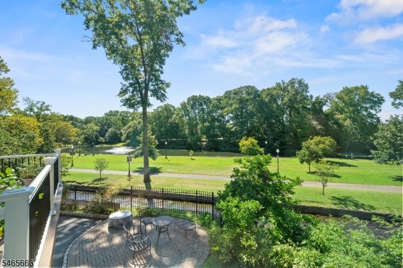 Patio/View