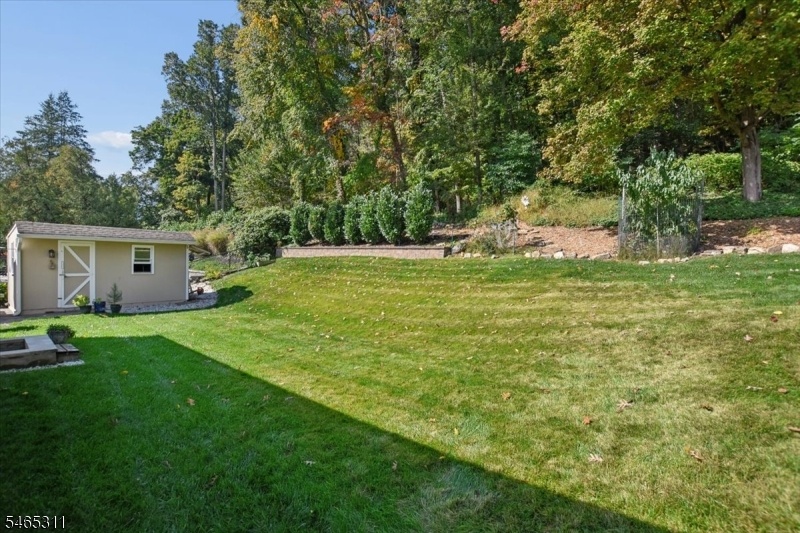 Shed and Yard