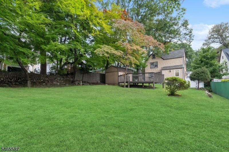 Alternate Backyard View