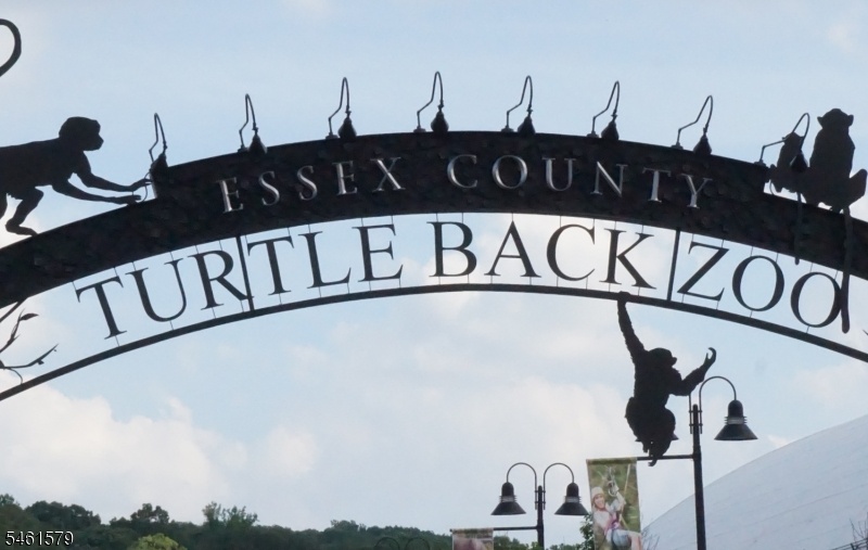 Turtleback Zoo