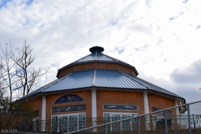 Turtleback Zoo