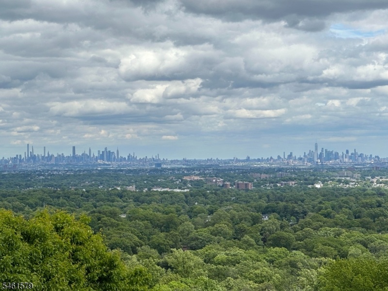 NYC Skyline View at The Higlwn