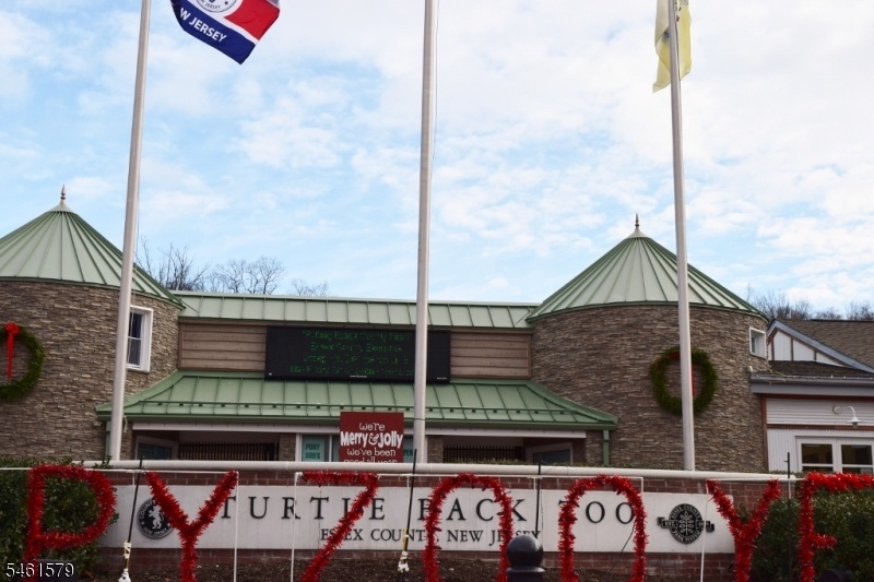 Turtleback Zoo