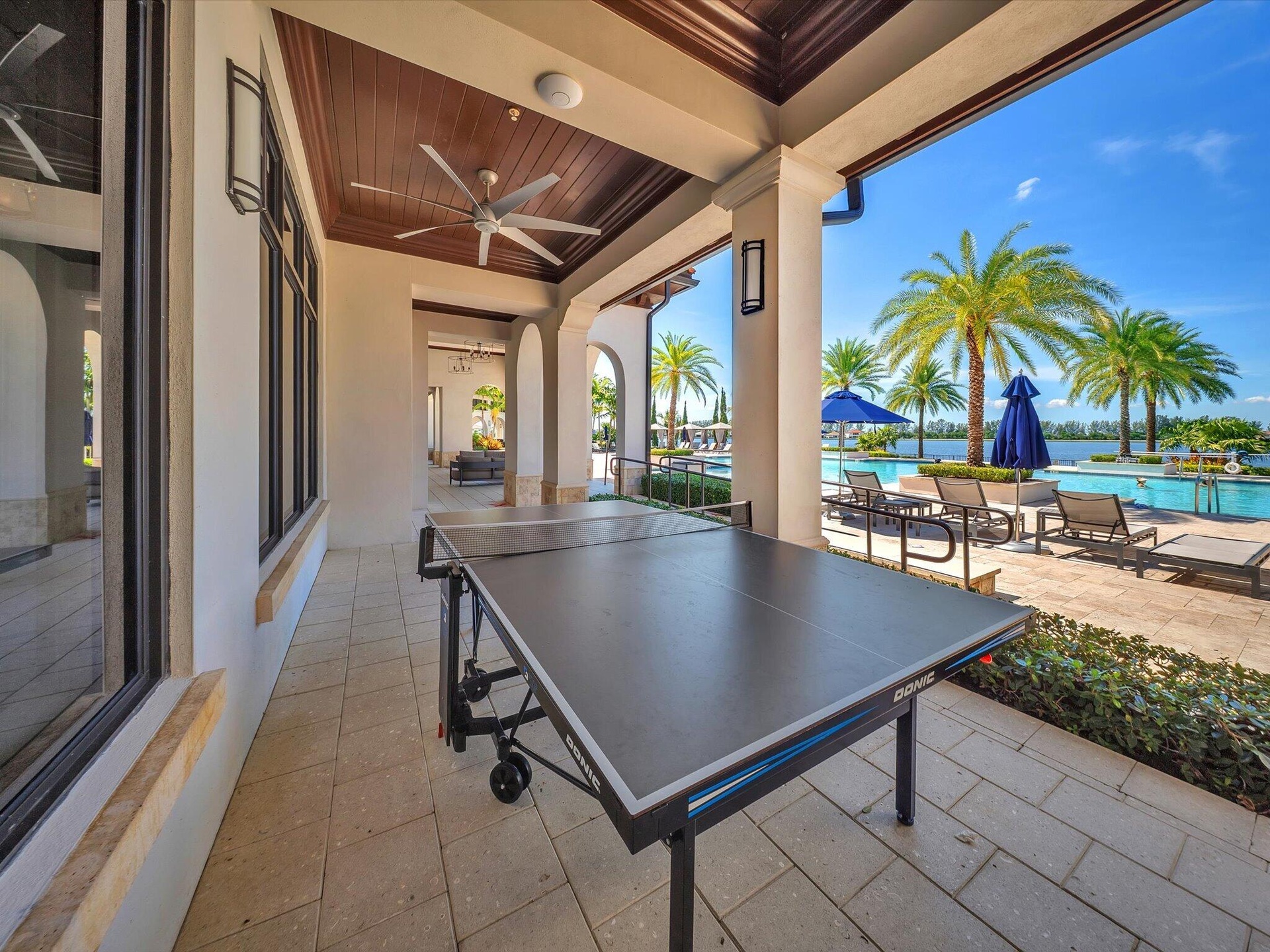 ping pong table
