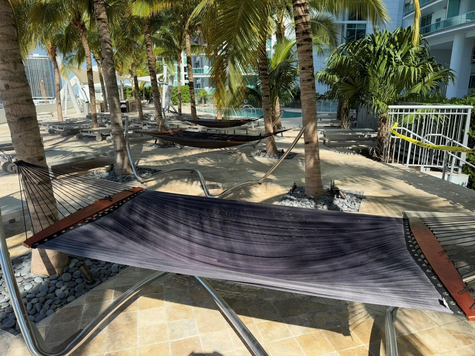 Outdoor amenity area featuring multiple palm trees, sand-like ground covering, and several hammocks