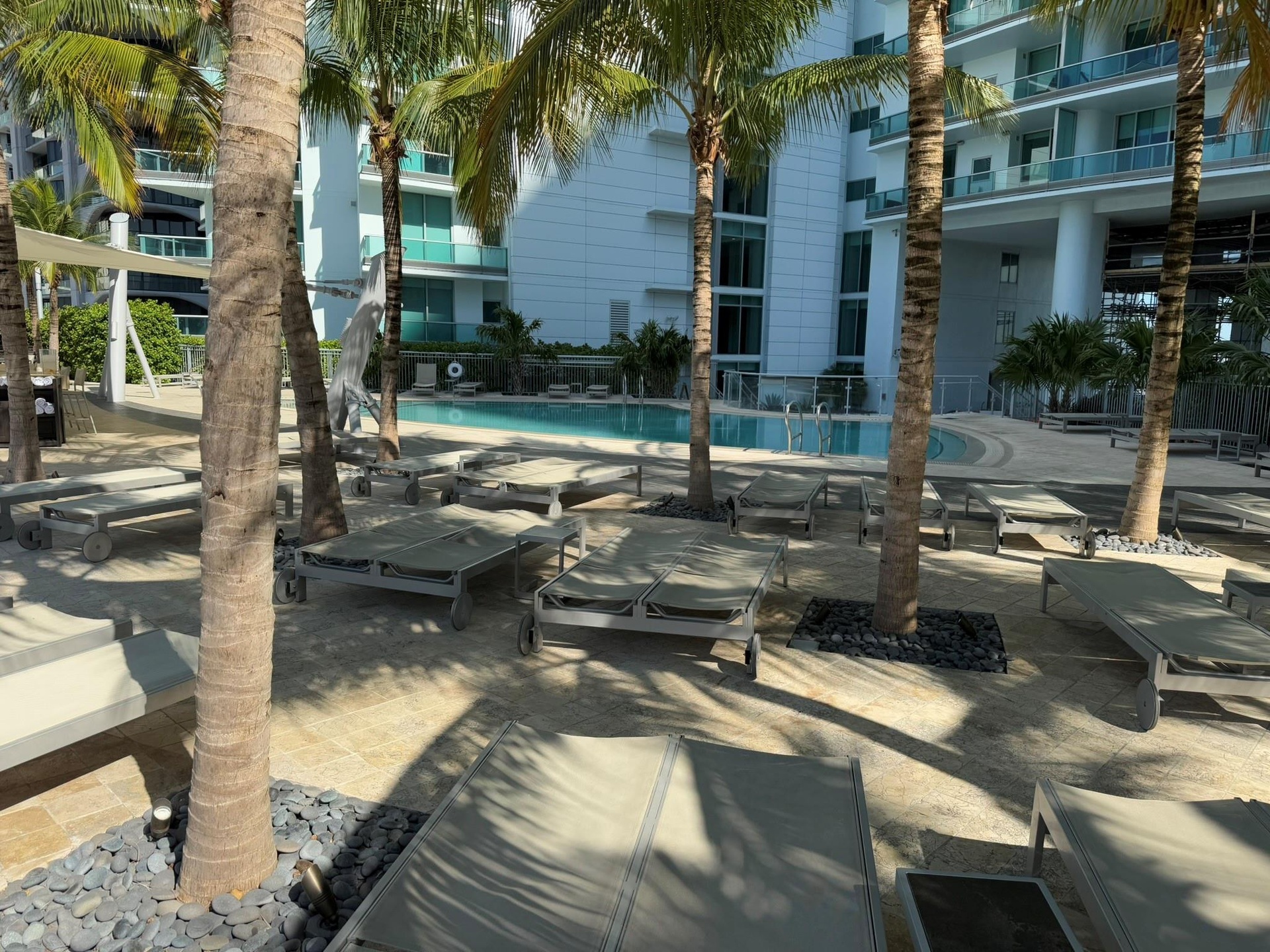 Resort-style pool deck featuring a curvilinear swimming pool, multiple lounge chairs, and mature palm trees