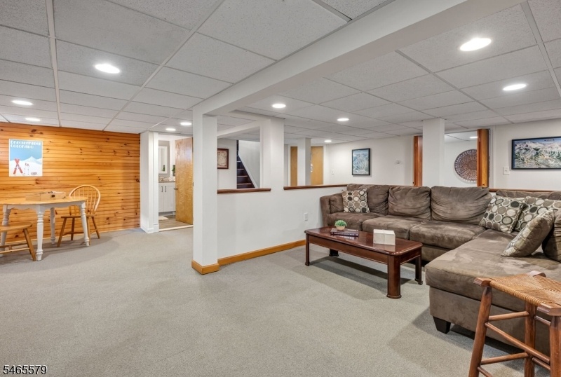 Lower Level Family Room