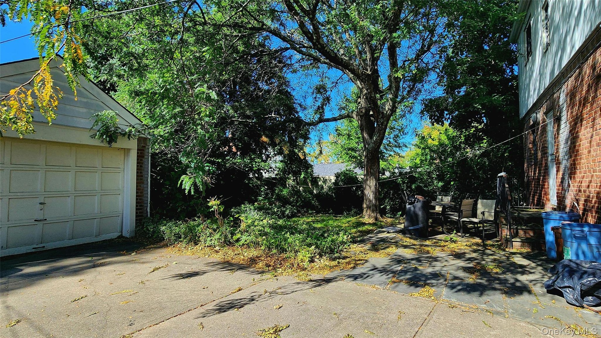 Shaded Backyard