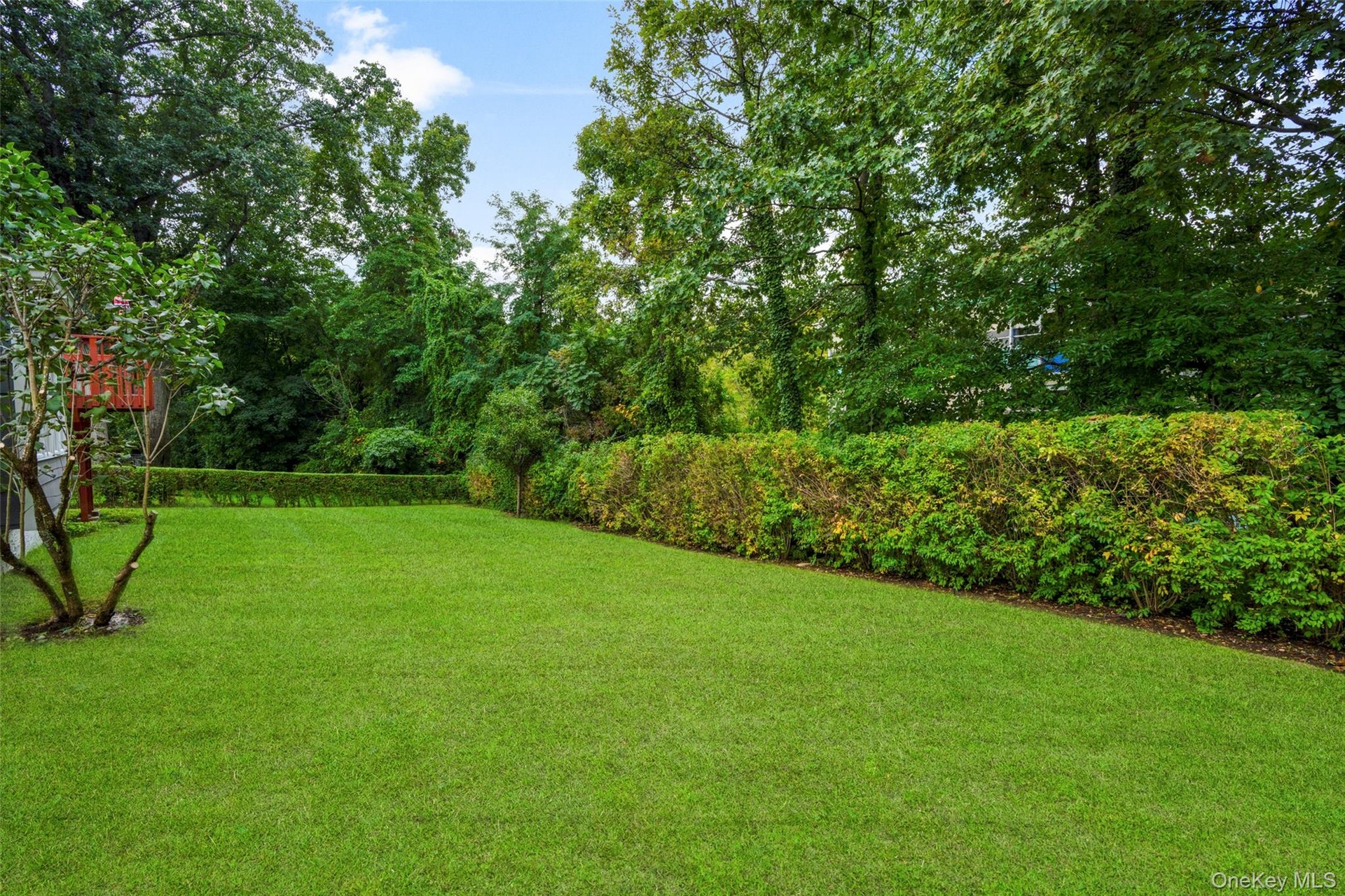 Expansive green lawn.