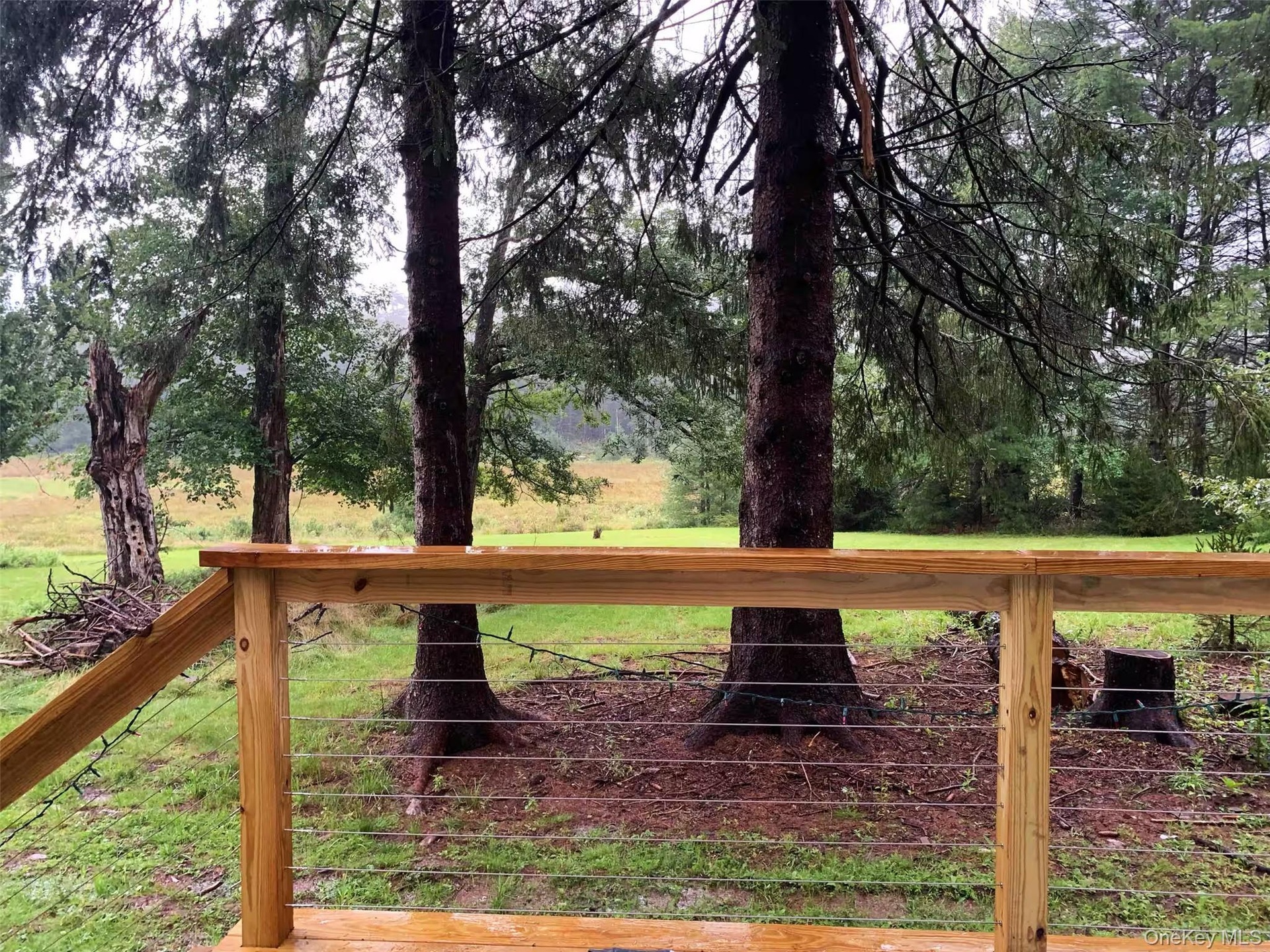 the view out over the 100 acres