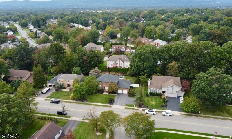 Aerial View Neighborhood