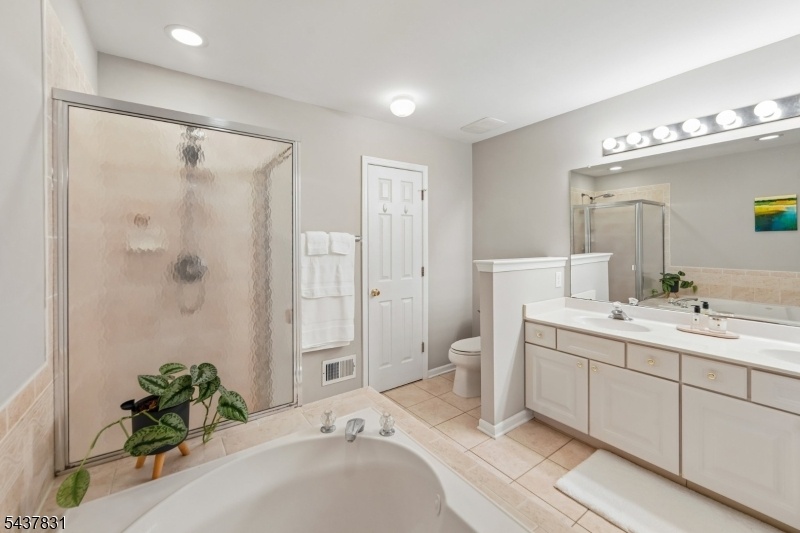 Primary Spa Bath