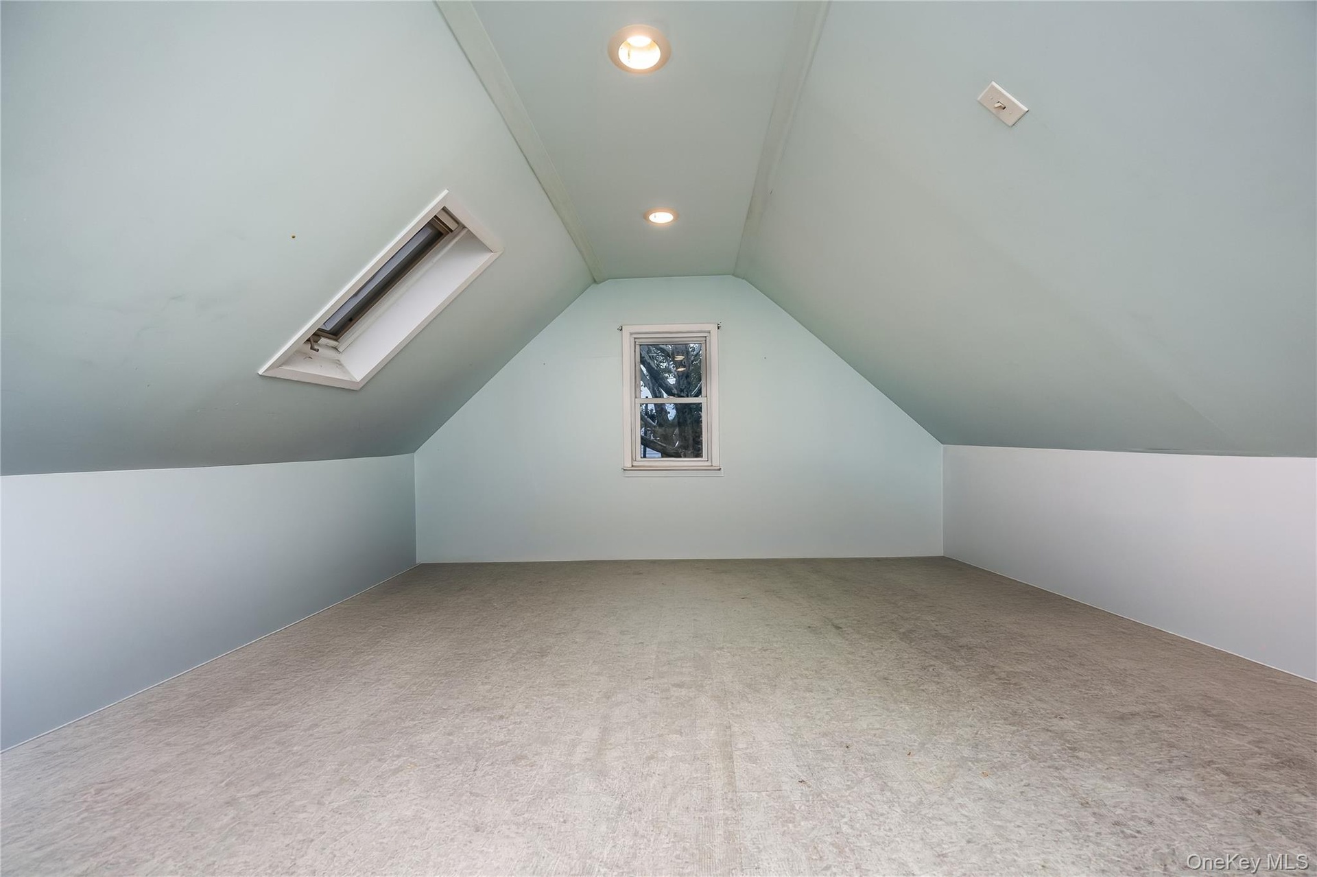 Attic with skylight!