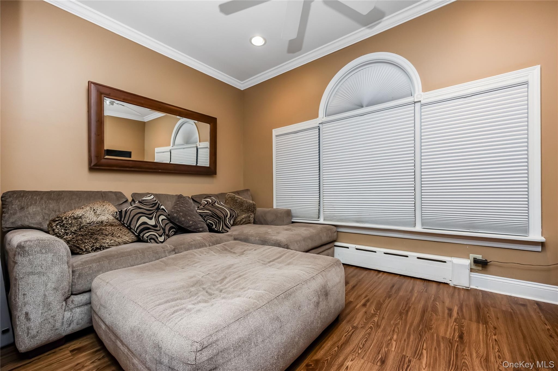 TV room!