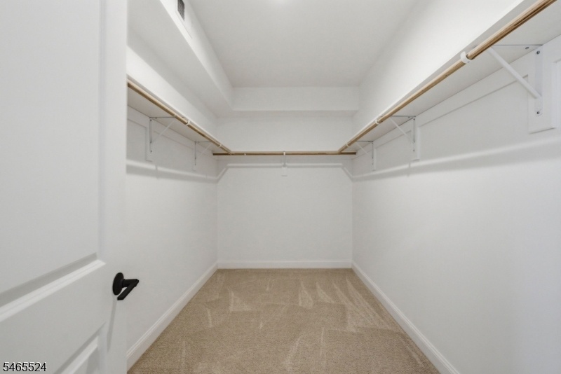 Expensive primary walk-in clo