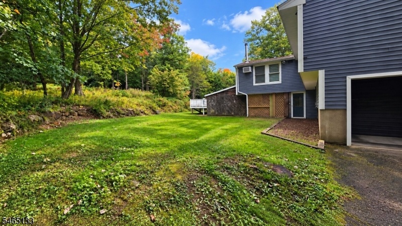 Large Backyard