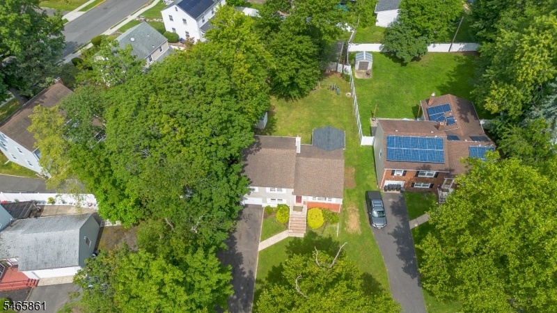 aerial