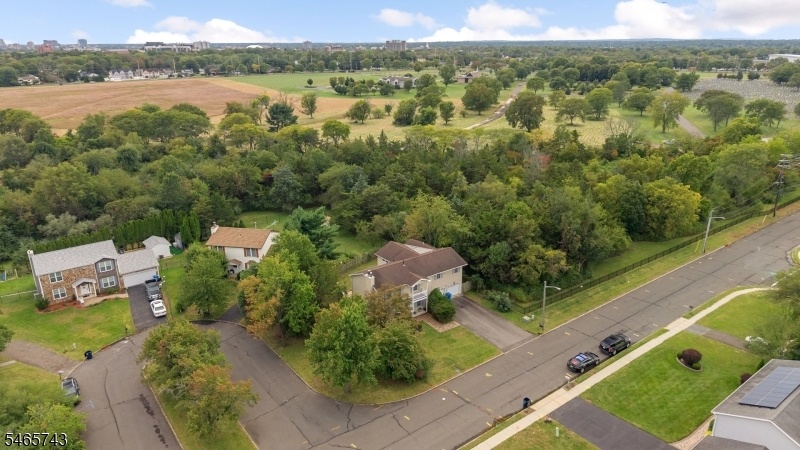 Drone view