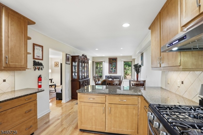 Kitchen View 4