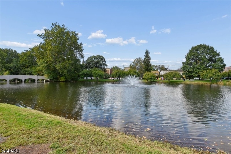 Taylor Park Fountain