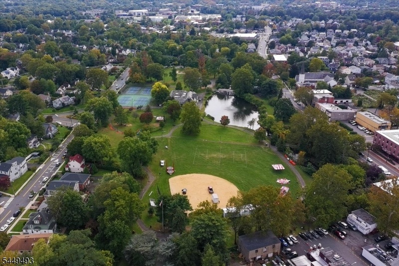 Taylor Park