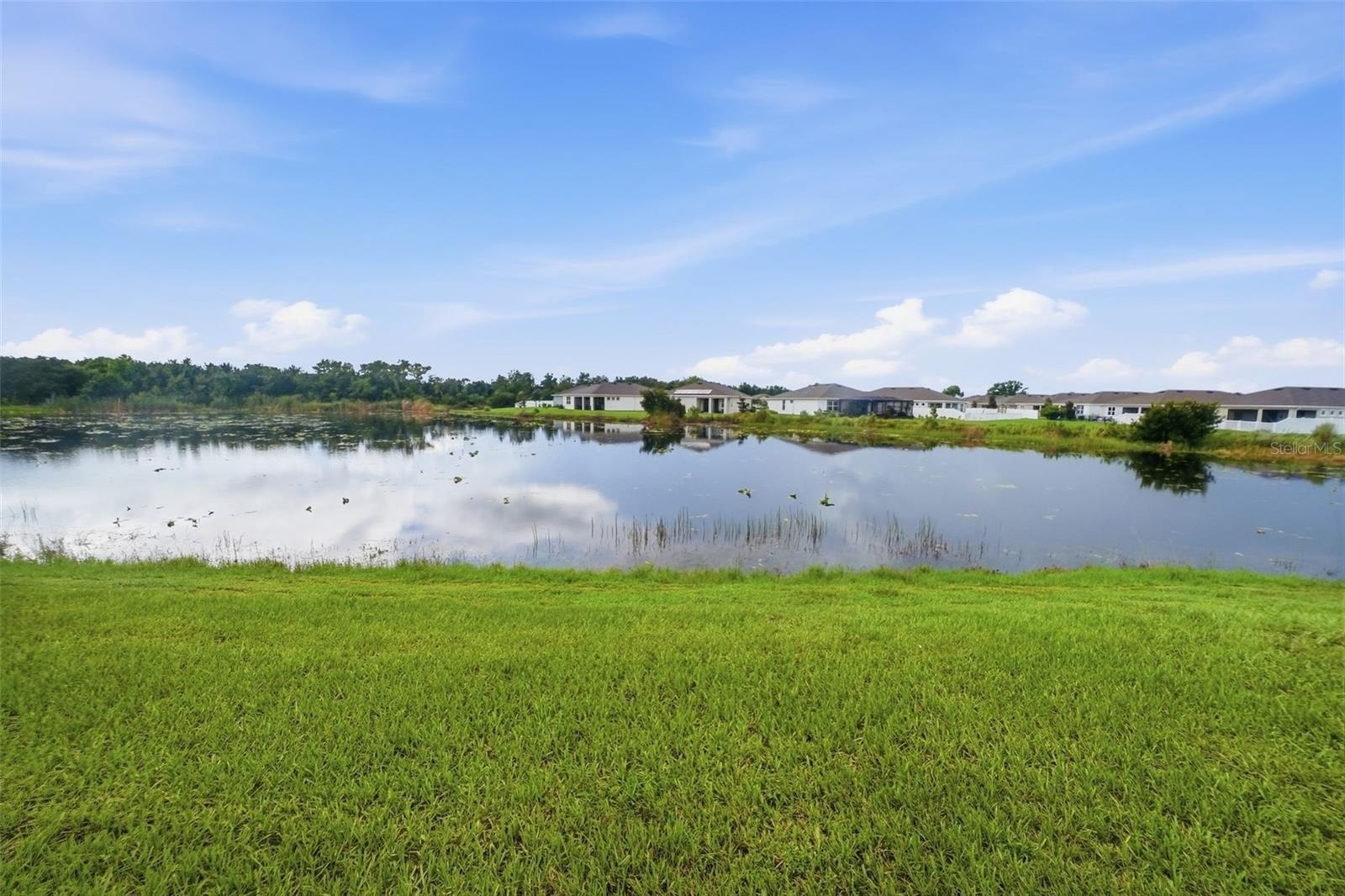 Beautiful Pond View