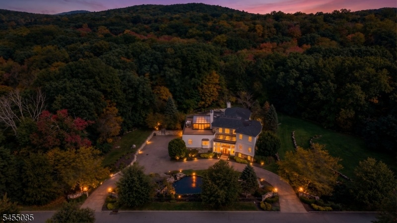 Nighttime viiew from above
