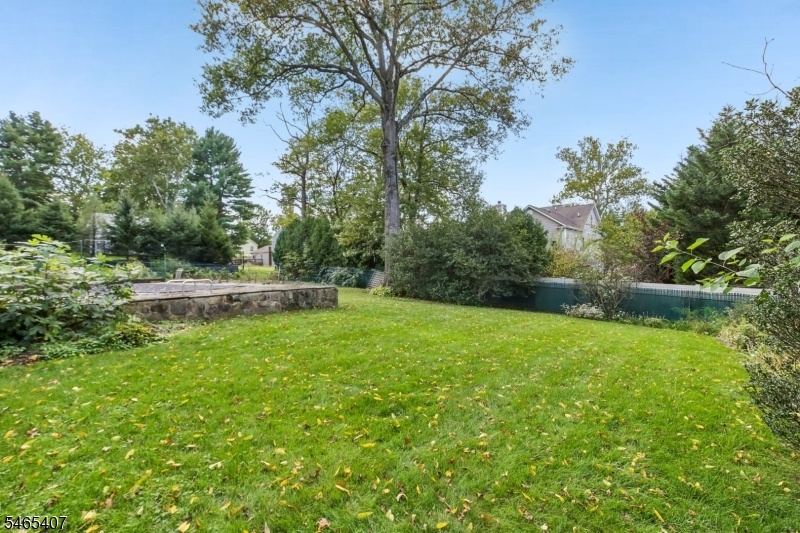 lush yard