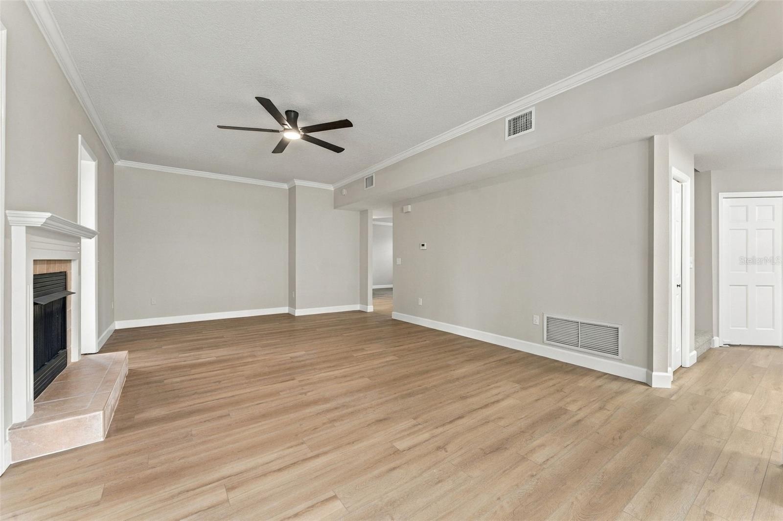 Very spacious family room