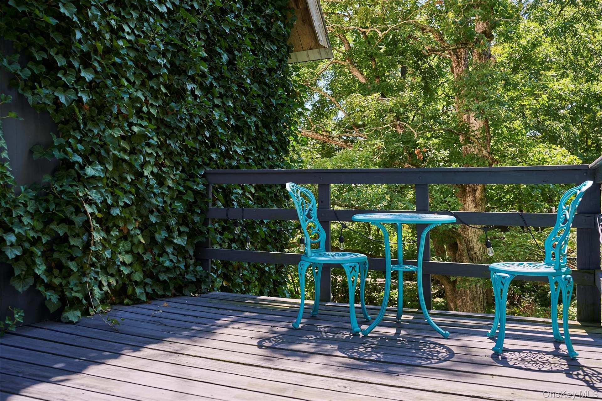 View of deck