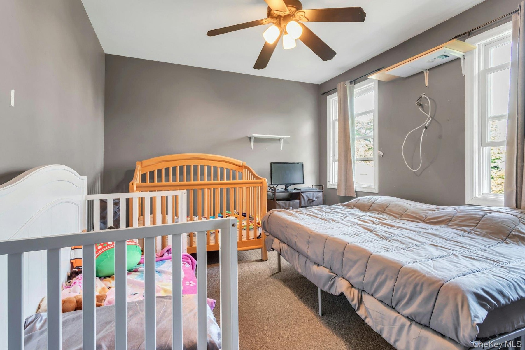 Room with neutral wall color and carpet flooring, featuring a ceiling fan with integrated lighting, and two windows providing natural illumination