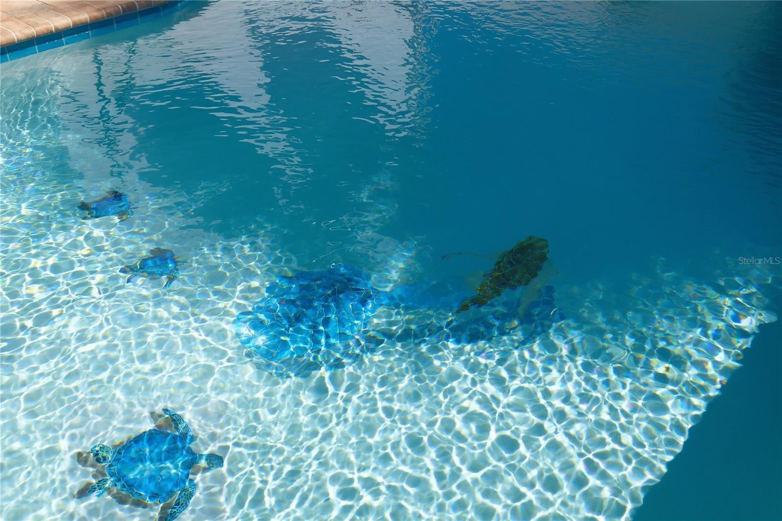 Mosaic Mermaid, Turtles and Fish